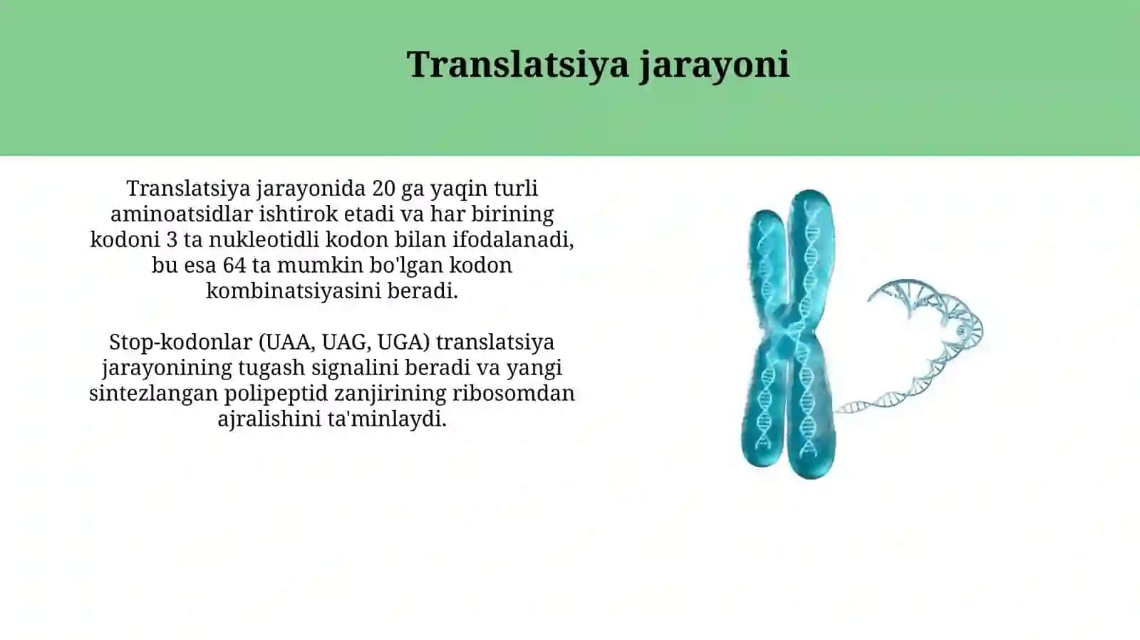 Transkripsiya, translayatsiya va replikatsiya 4