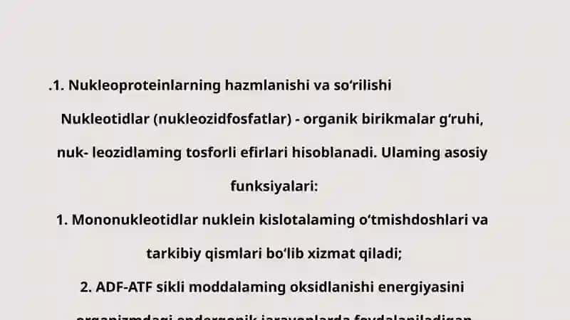 Nuklein kislotalar metobolizimi 4