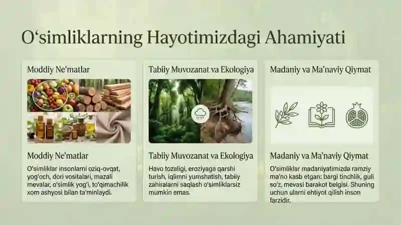 O’simliklar dunyosi 4