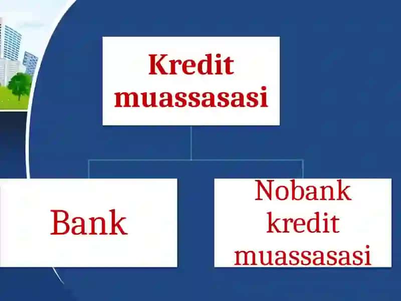 Nobank moliya-kredit muassasalari 4