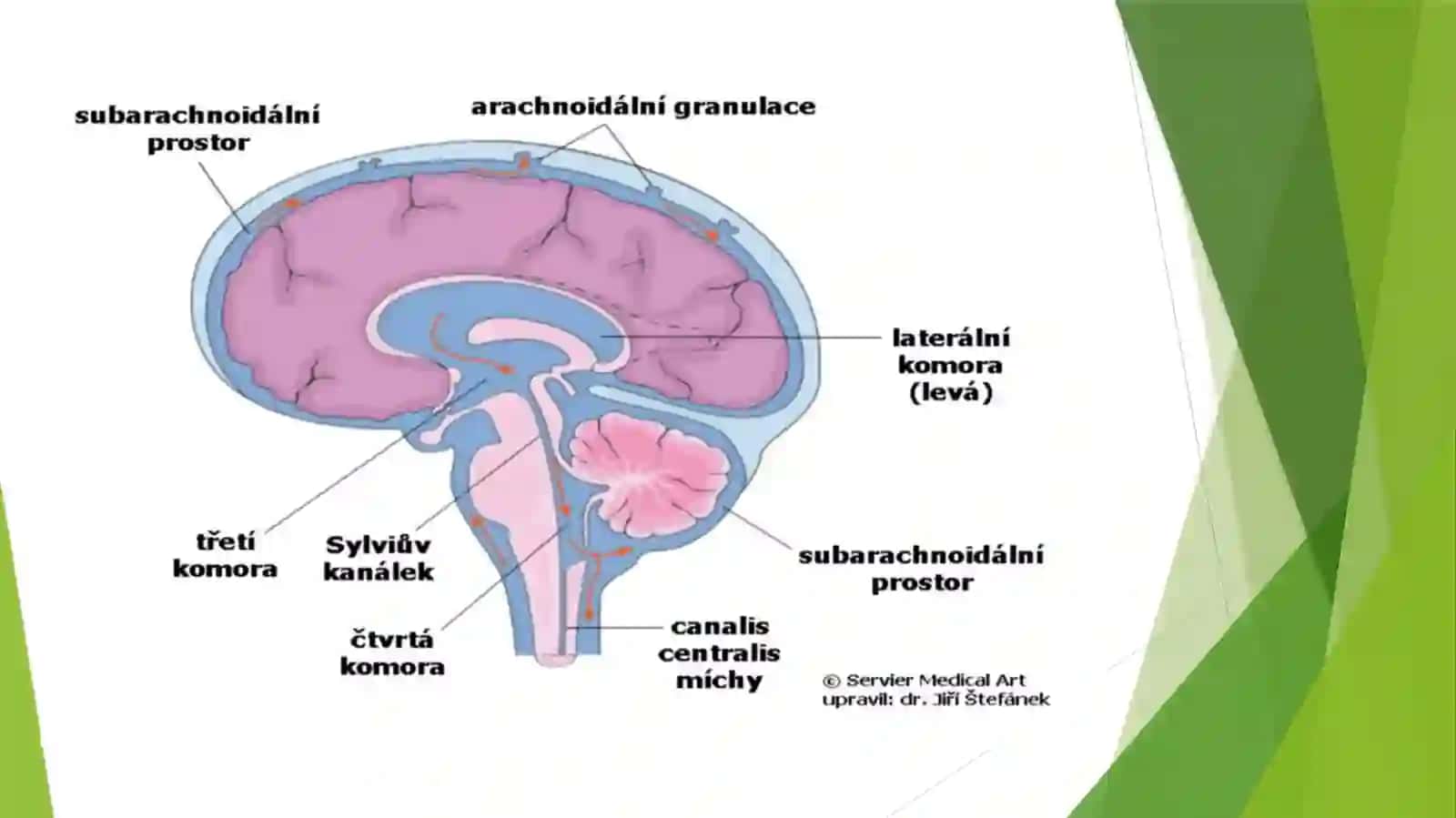Likvorodinamika 4