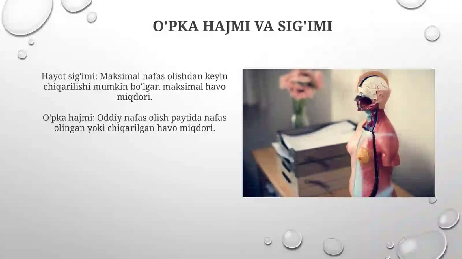 Nafasfizyologydi 4