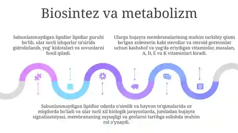 Sovunlanmaydigan Lipidlar 4