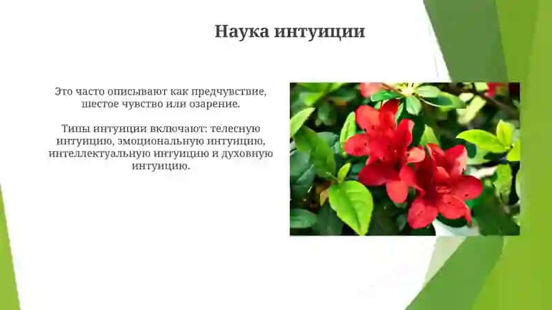 Интуиция в повседневной жизни 4