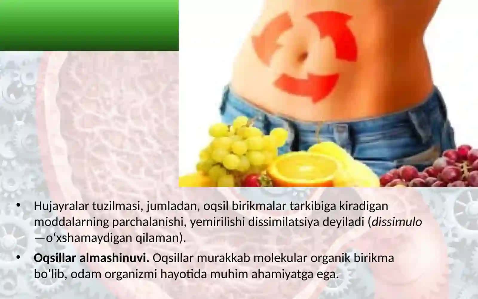 8-sinf Biologiya fanidan Moddalar energiya almashinuvi dars ishlanma 4