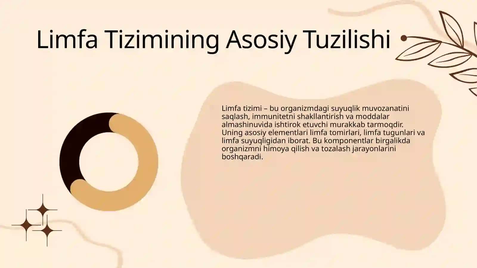 Linfa sistemasi 4