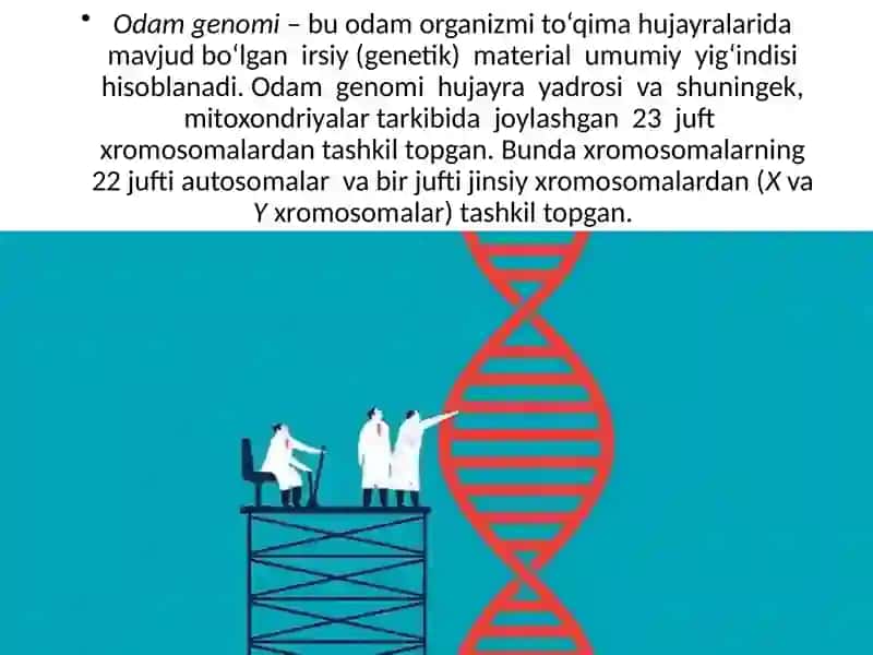 Odam genetikasi 4
