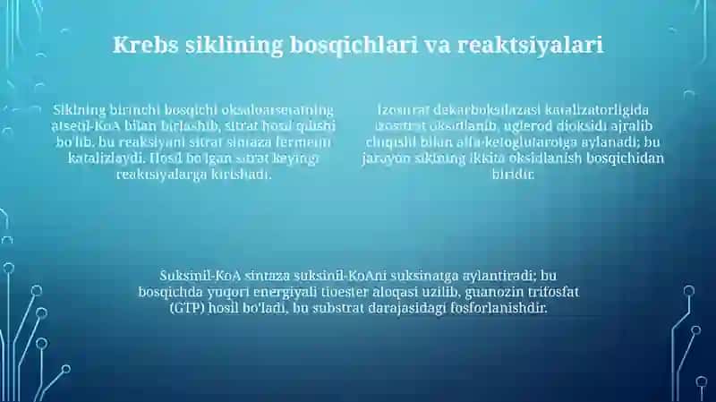 Krebs sikli 4