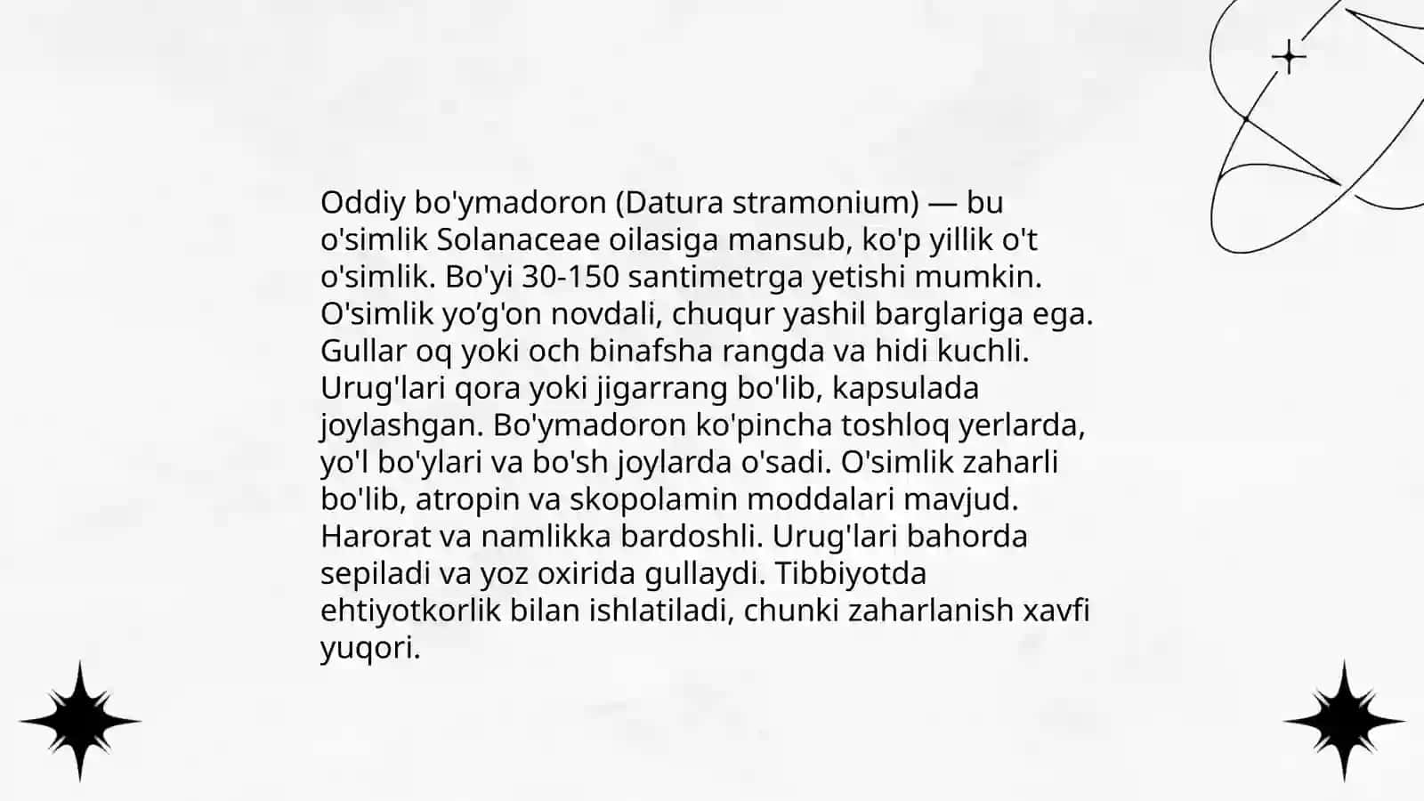 Oddiy bo'ymadoron, Achillea millennium 4
