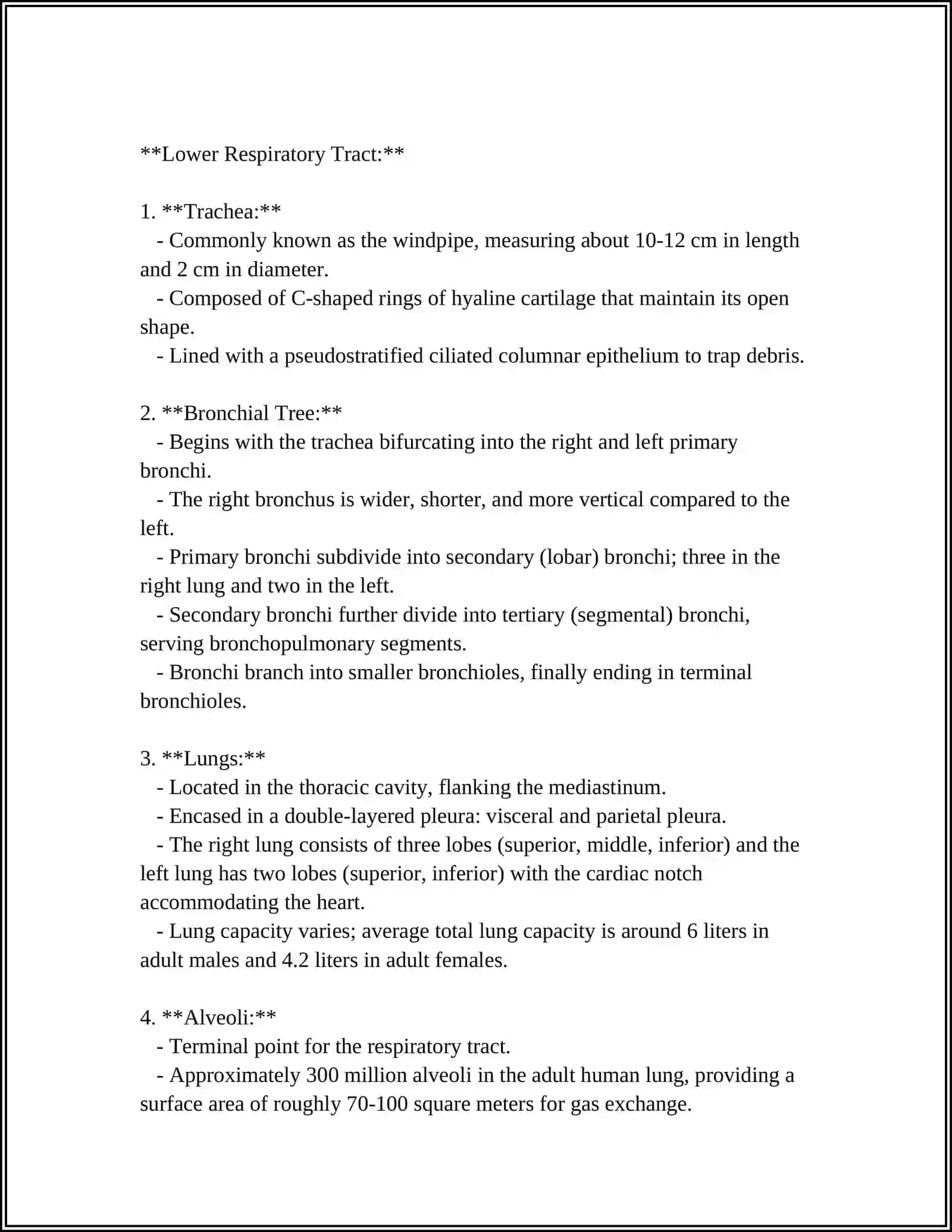 Anatomy of the Respiratory System 4