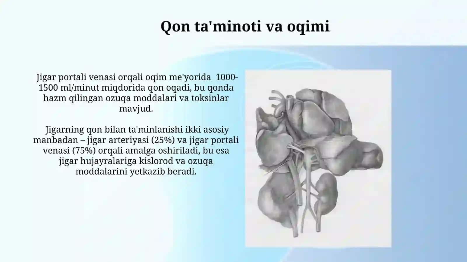 Jigar fiziologiyasi 4
