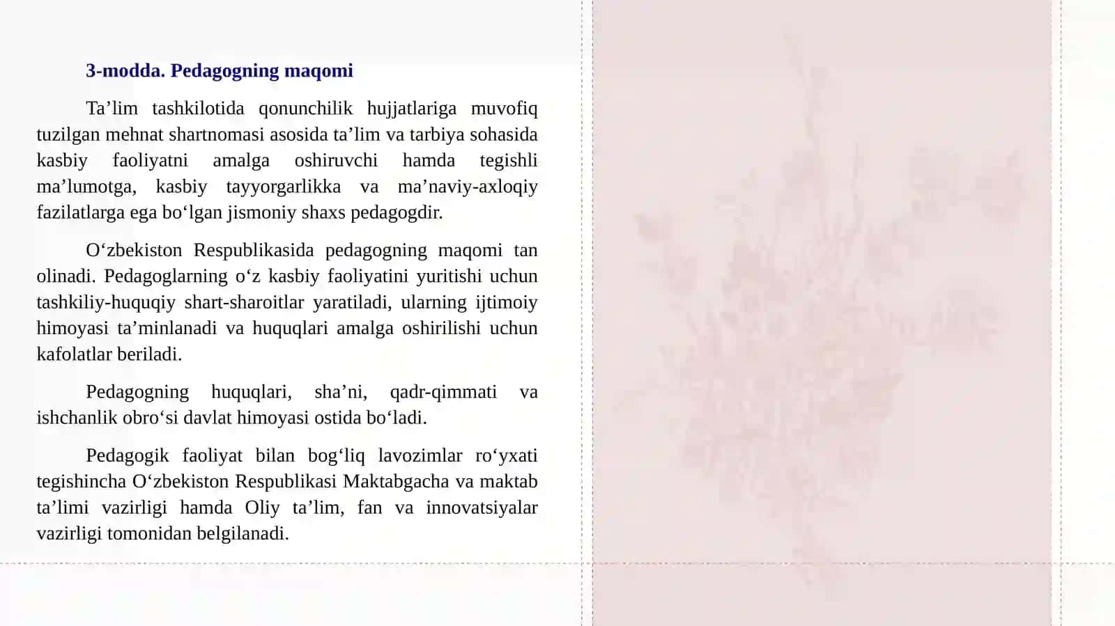 Pedagogning maqomi to'g'risida qonunchilik 4