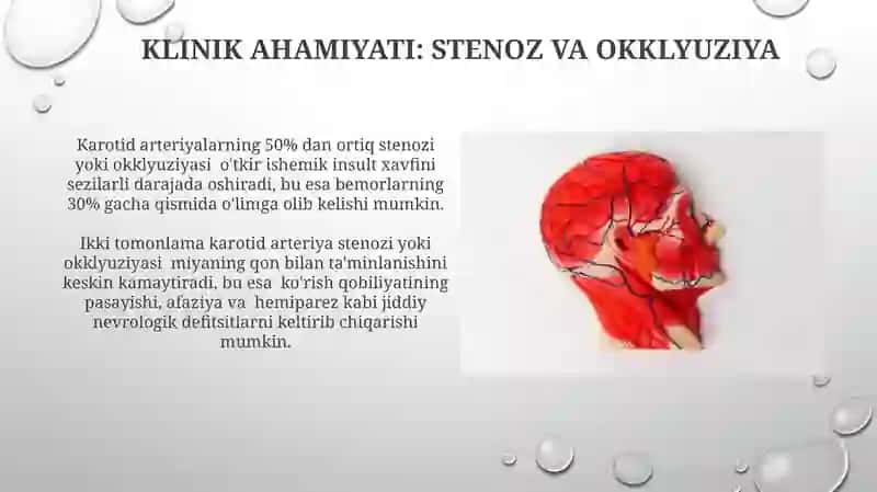 Tashqi uyqu arteriyasi 4