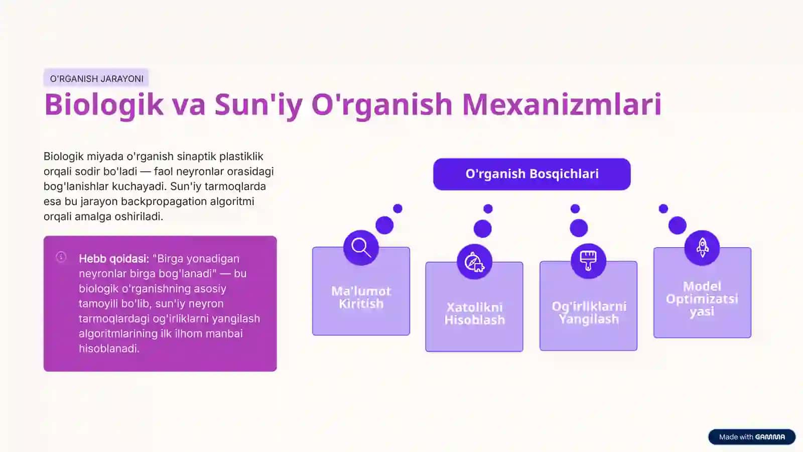 Biologik va Sun'iy Neyron Tarmoqlar 4