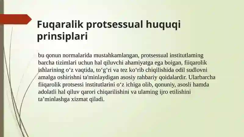 Fuqorolik protsessual huquqining prinsiplari tushunchasi va tasnifi 4