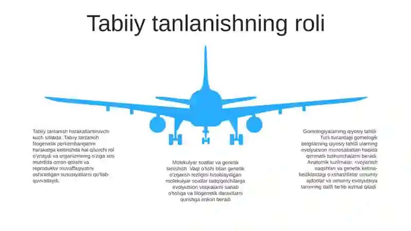 Psixikaning Filogenetik Taraqqiyoti 4