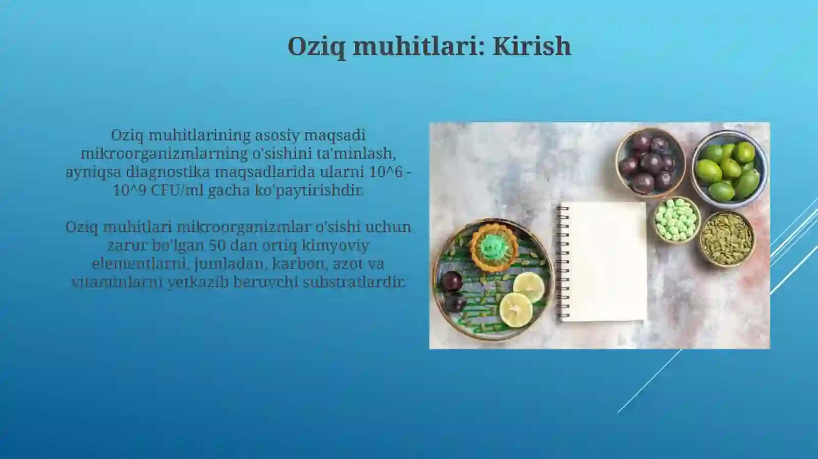 Oziq muhitlarining tasnifi 4