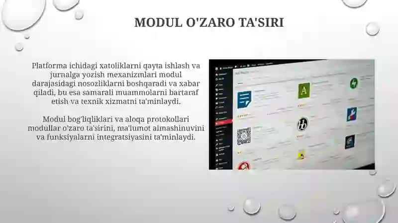 Tizimli plataning ichki interfeysi 4