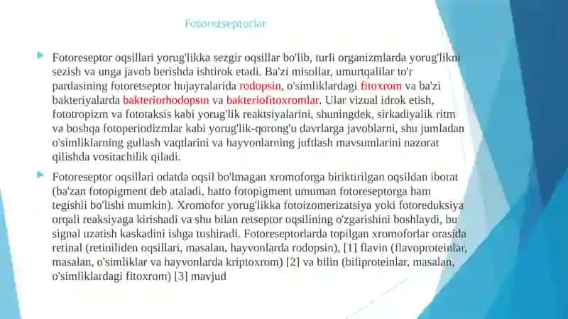 ko'rishning fotokimyoviy jarayonlari. rang sezish nazariyasi 4
