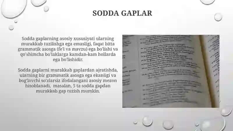 Soʻz gaplar, ularning turlari 4