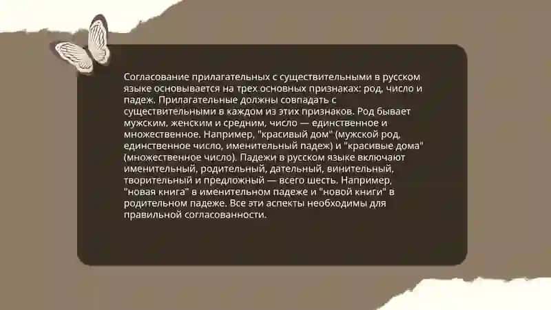 Прилагательное 4