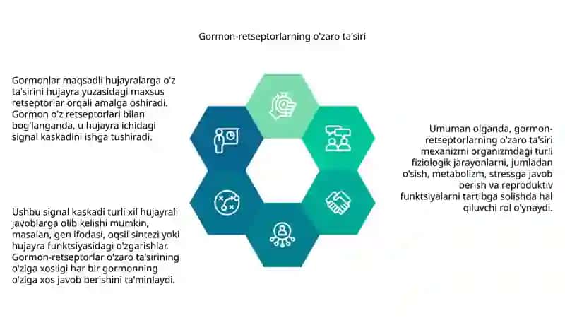 Gormonlarning nishon hujayralarga tasir mexanizmi 4