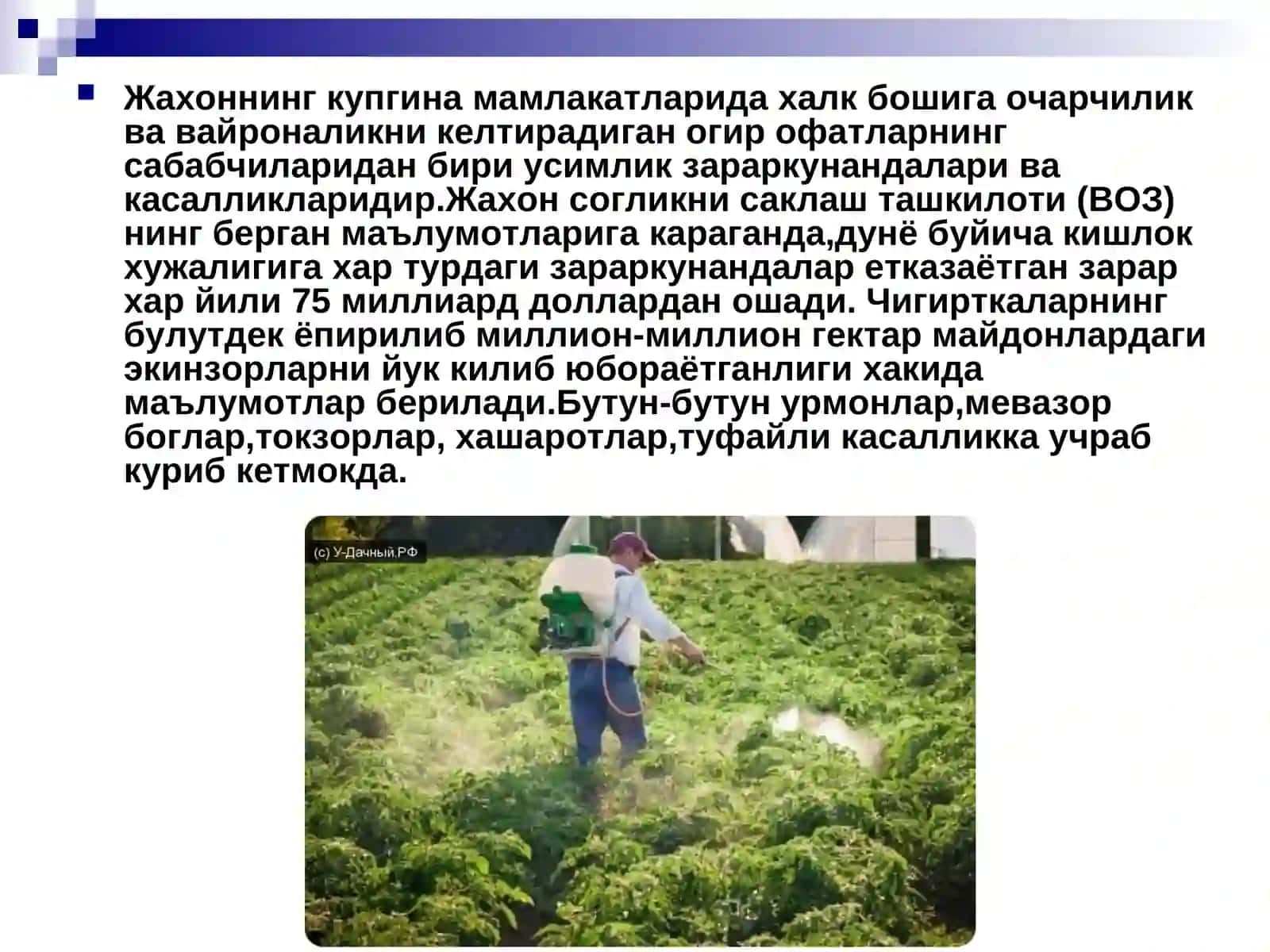 Гербицид ва пестицидларнинг тизимлар фаолиятига таьсири 4