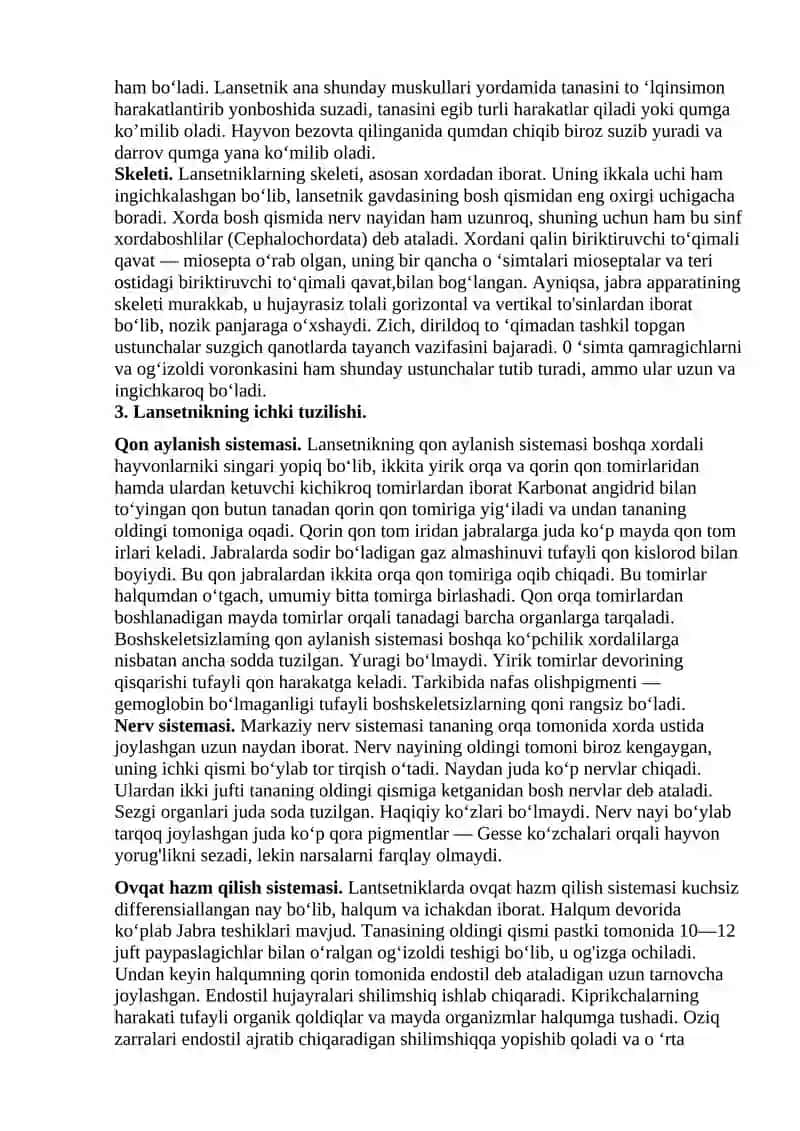 Assidiya va lansetnikning tuzilishi 4