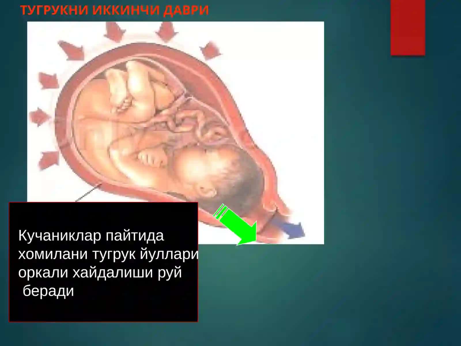 Коникарсиз тугрук фаолияти 4
