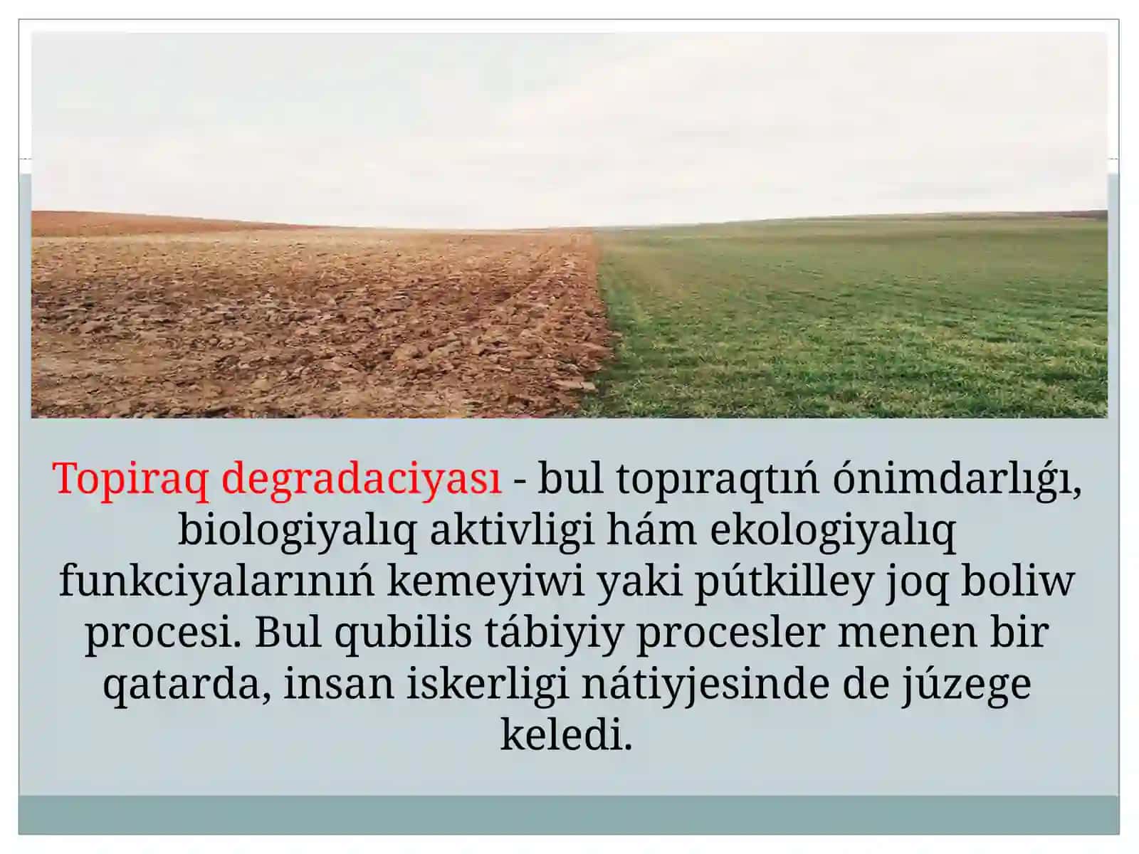 Nuraliev uluǵbek 4