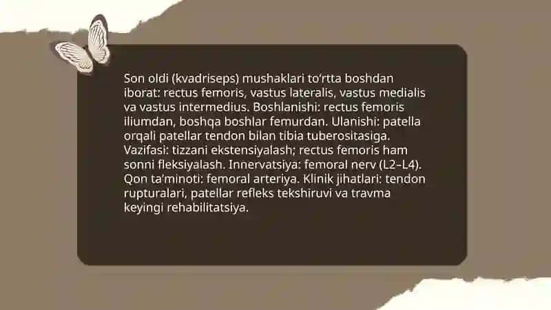 Oyoq mushaklari 4