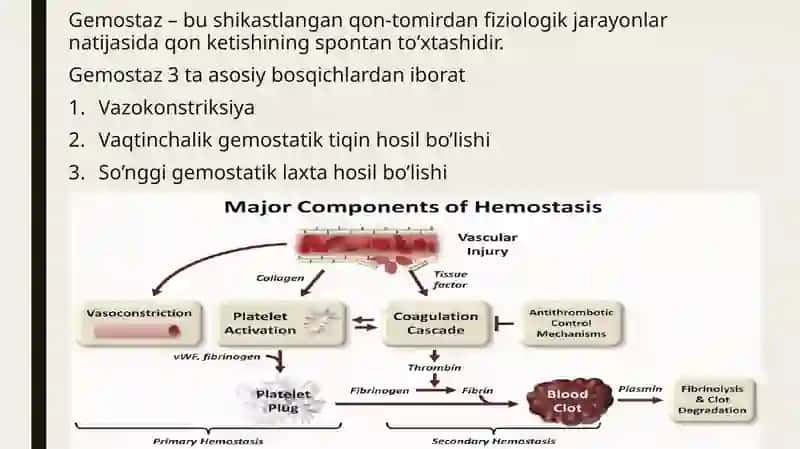 Gemostaz vafibrinoliz 4