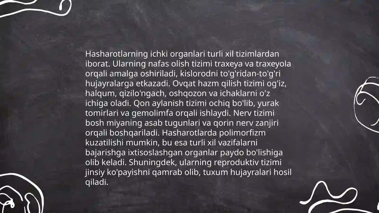 Hasharotlarning ichki tuzilishi 4
