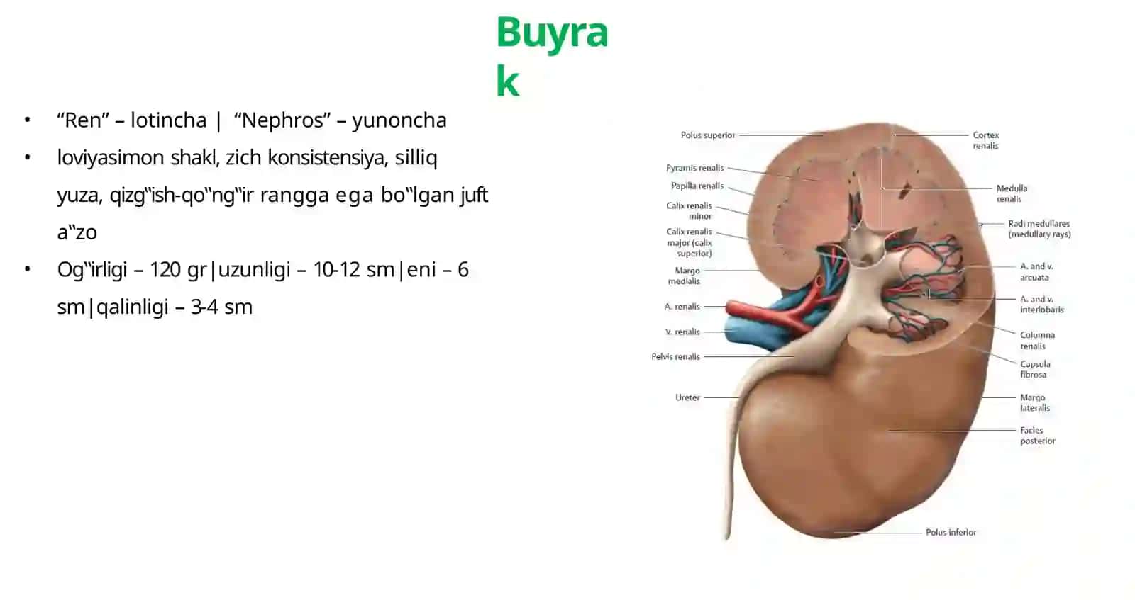 Ayirishsistemasi 4
