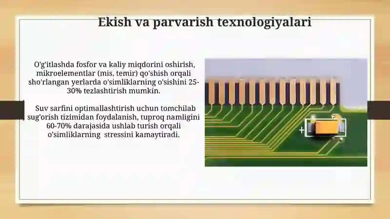 Ekin ekish va parvarish texnologiyalari 4