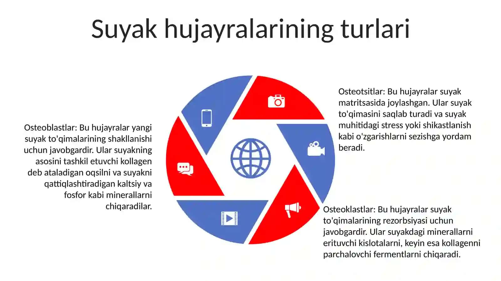 Suyak To'Qimasi 4