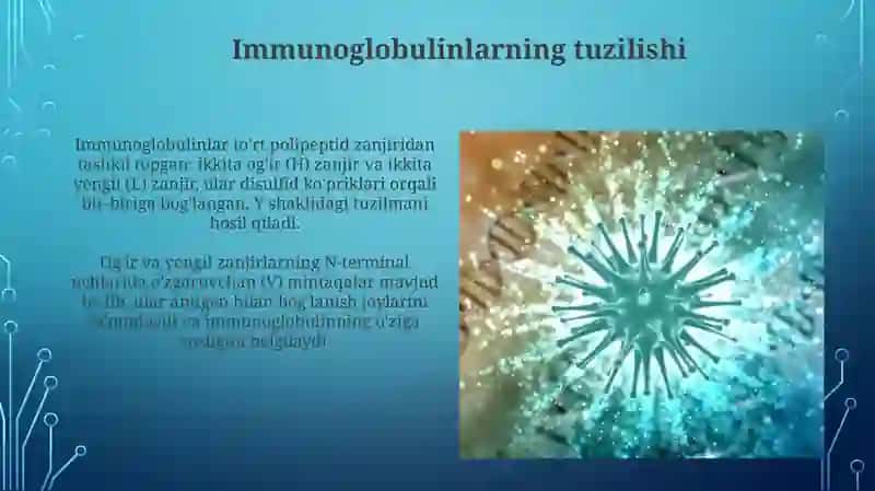 Immunoglobulin oqsillari 4
