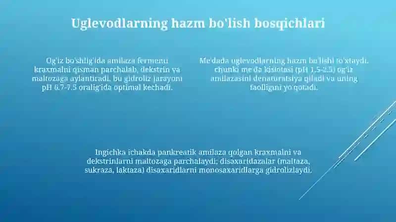 Uglevodlarning hazm bo'lishi 4