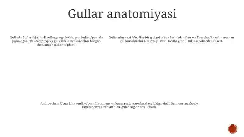 Gular (Ollomberganova) 4