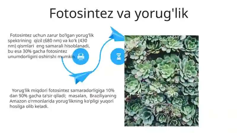 O`simliklarning mavsumiy o`zgarishi 4