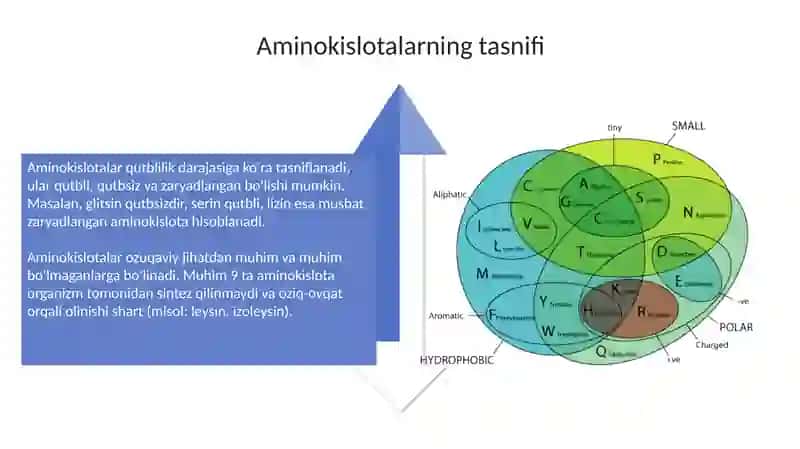 Aminokislotalar va oqsillar ularning xossalari 4