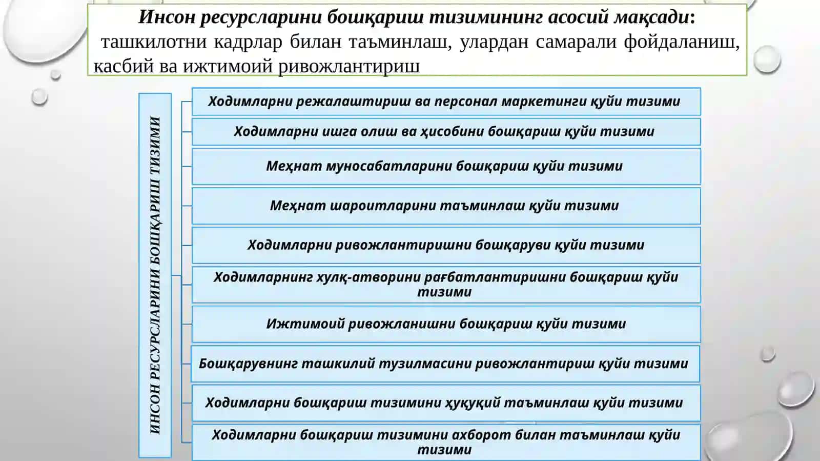 Инсон ресурсларини бошқариш тизими 4