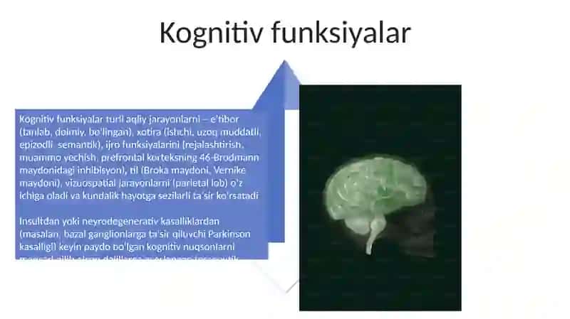 Neyropsixologiya 4