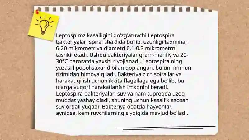 Leptospirozlar Marfalogiyasiy 4