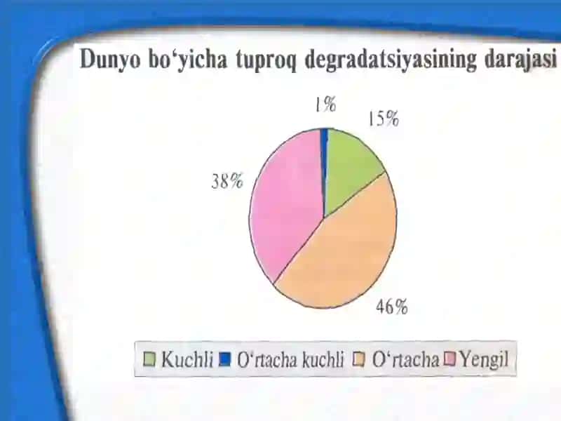 Tabiiy resurslar va ularning tasnifi 4