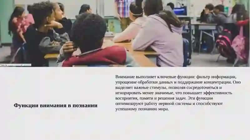 Определение внимания 4