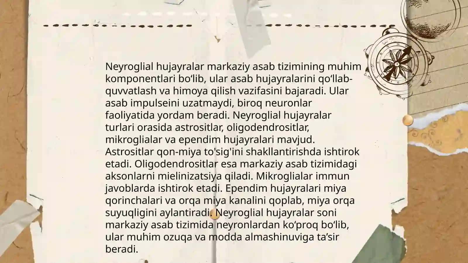 Nerv tizimi gistologiyasi 4