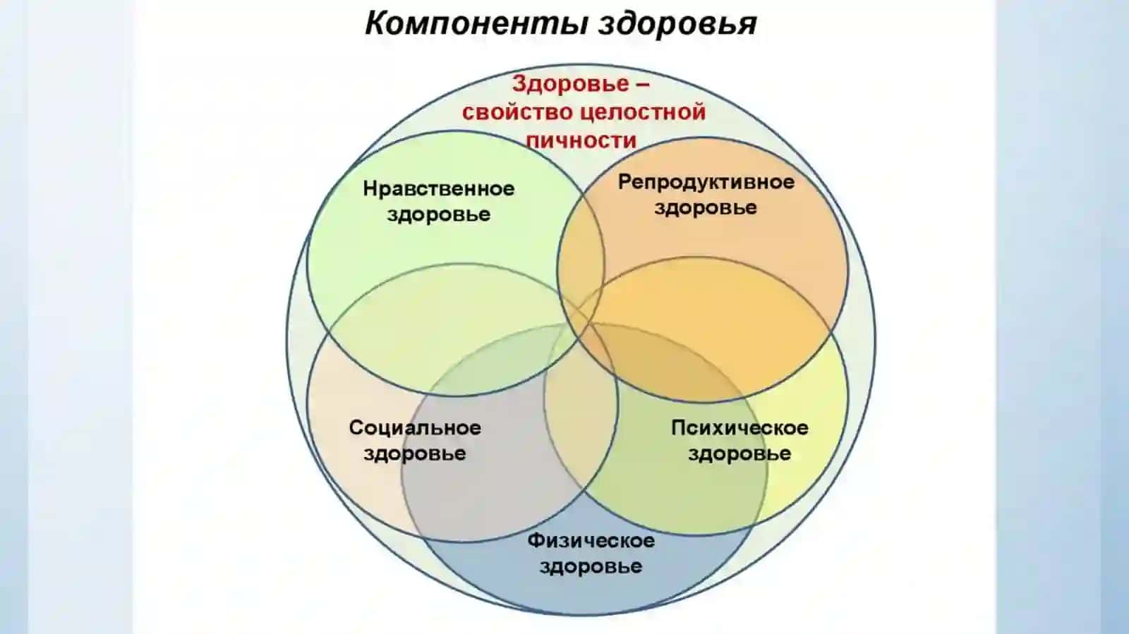 ORTOPEDIK STOMАTOLOGIYА PROPEDEVTIKАSI KАFEDRАSI 4
