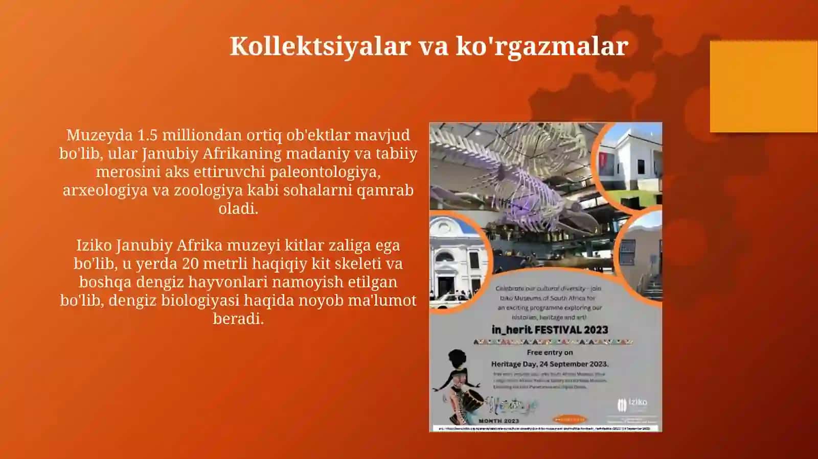Iziko Janubiy Afrika muzeyi 4