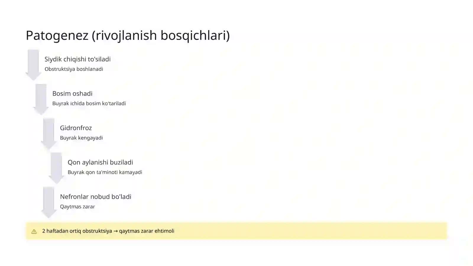 Siydik yo'llari obstruktsiyasi 4